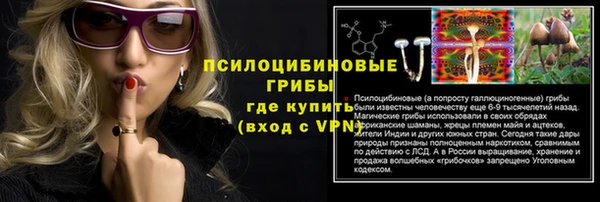 экстази Богданович