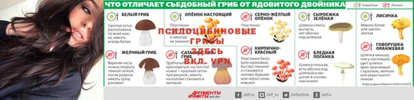 соль курить ск Богородицк