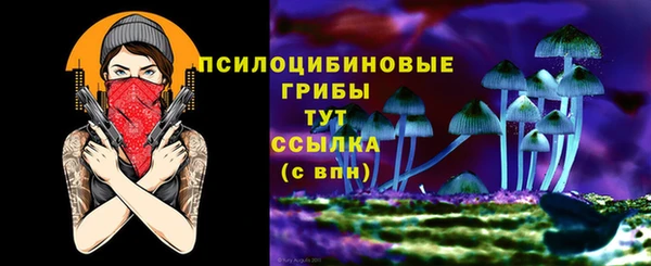 эйфоретик Богородск