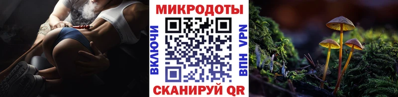 цена наркотик Наволоки Псилоцибиновые грибы ЛСД